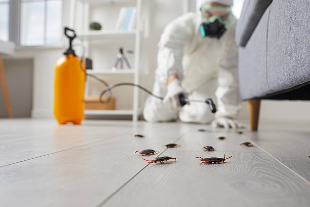 Commercial Kitchen Cockroach Control in Keokuk